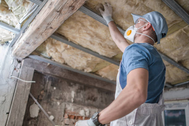 Best Professional Insulation Contractor  in Greencastle, PA